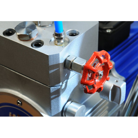 STRONG SPX300 paint sprayer