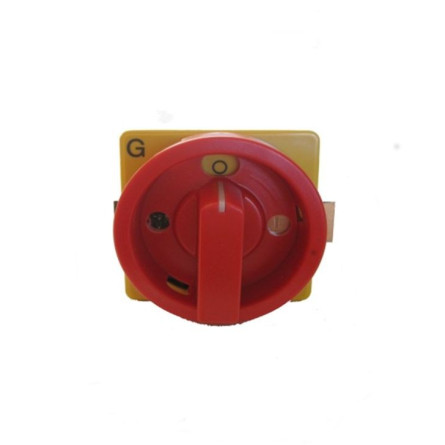 main switch with L/P 32A plate