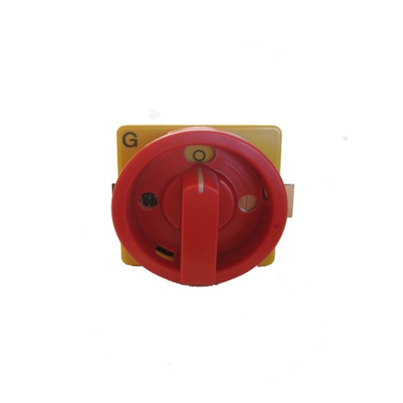 main switch with L/P 32A plate