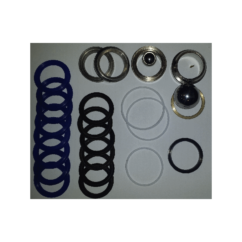 HSS 9000 pump repair kit
