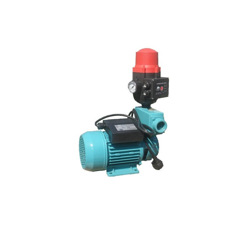 WZ 750 hydrophore water pump with BRIO switch