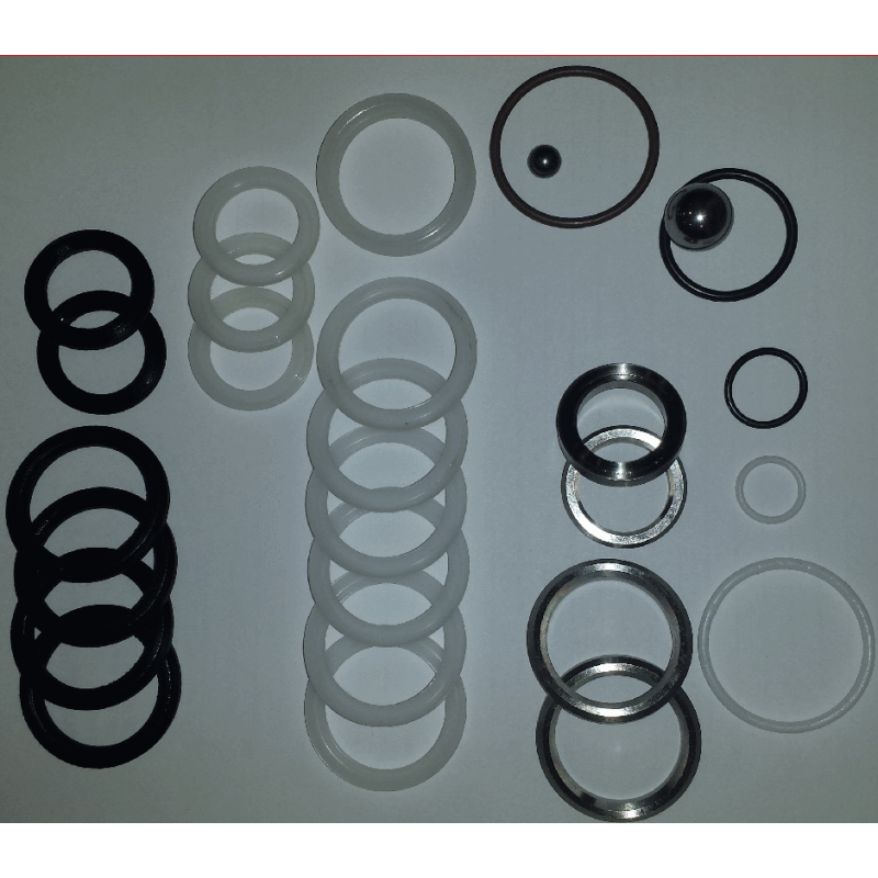 SL810/1100 pump repair kit - S&S4550;/6050