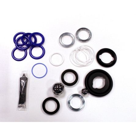 XTREME 73:1 180cc pump repair kit - GRACO