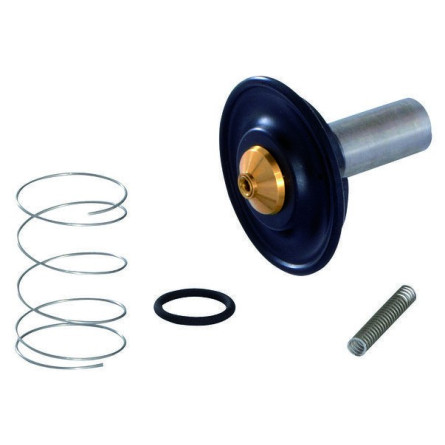 1/2'' PFT solenoid valve membrane – original