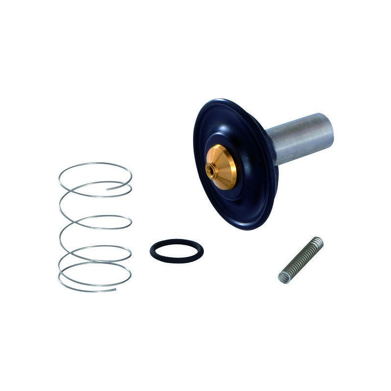 1/2'' PFT solenoid valve membrane – original