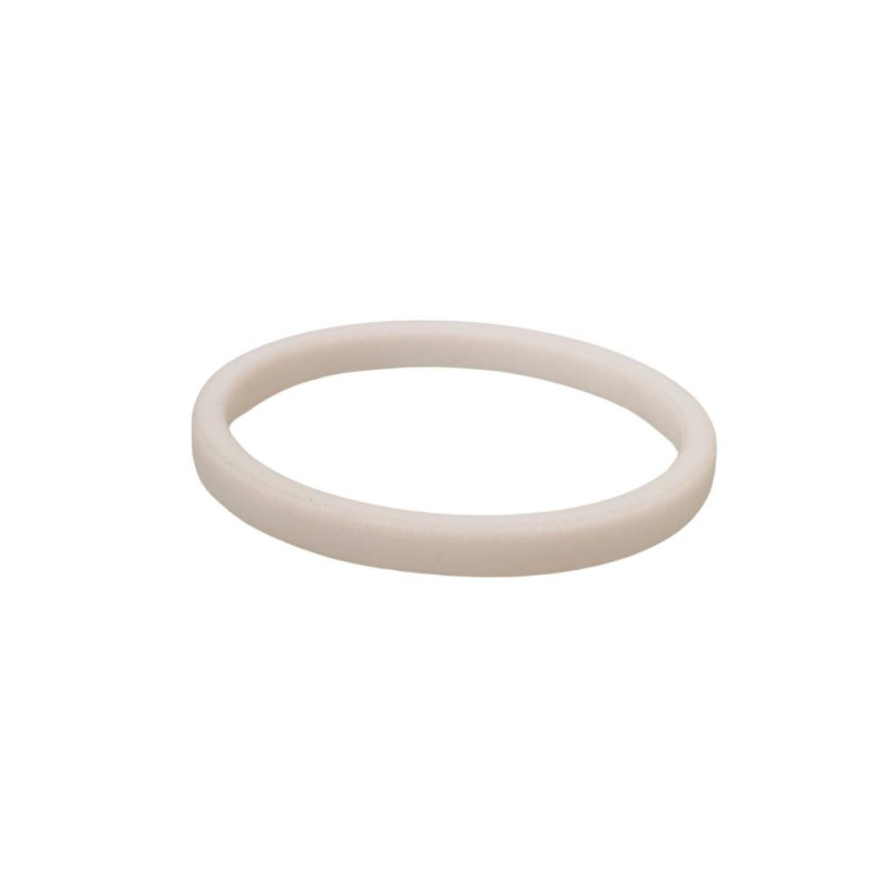 Filter Housing Gasket (thick) SPEEFLO 6900 XLT