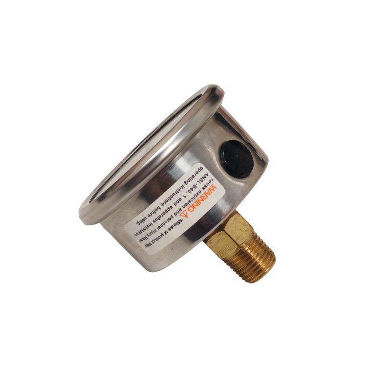 Gel-filled pressure gauge, 0–400 bar, rear outlet 1/4" (45 mm)
